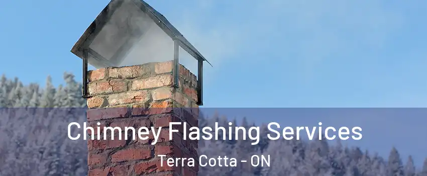  Chimney Flashing Services Terra Cotta - ON