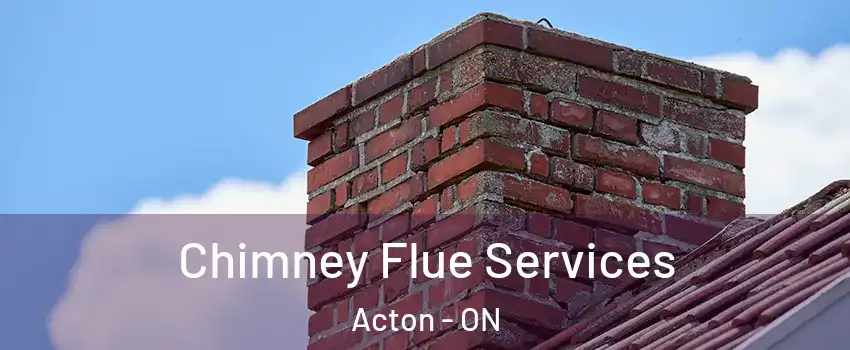  Chimney Flue Services Acton - ON