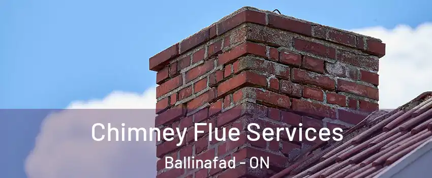  Chimney Flue Services Ballinafad - ON