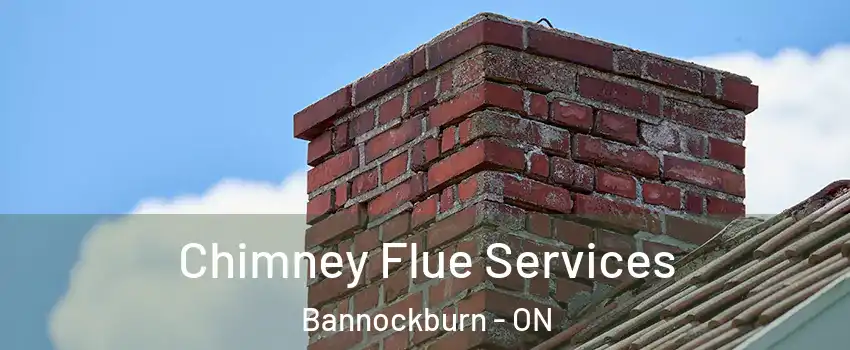  Chimney Flue Services Bannockburn - ON