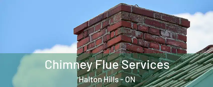  Chimney Flue Services Halton Hills - ON