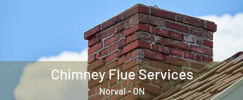  Chimney Flue Services Norval - ON