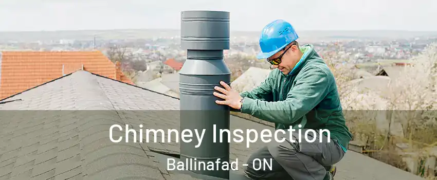  Chimney Inspection Ballinafad - ON