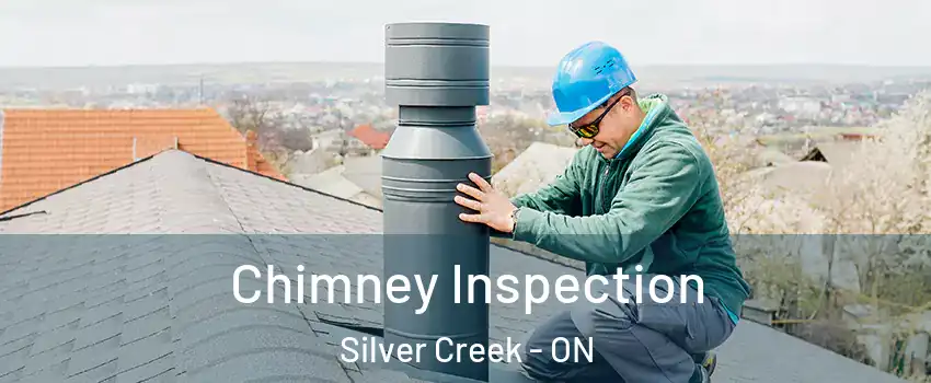  Chimney Inspection Silver Creek - ON