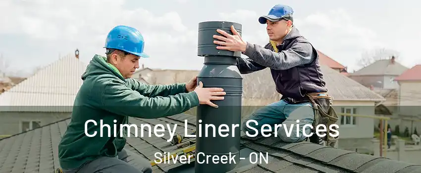  Chimney Liner Services Silver Creek - ON