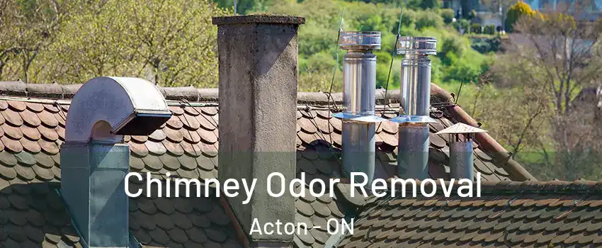  Chimney Odor Removal Acton - ON