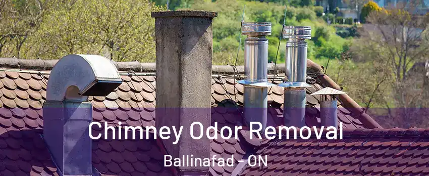  Chimney Odor Removal Ballinafad - ON