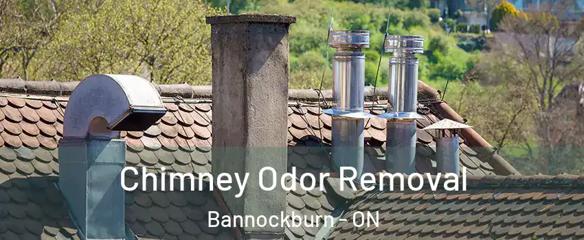  Chimney Odor Removal Bannockburn - ON