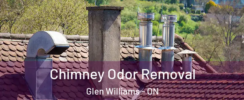  Chimney Odor Removal Glen Williams - ON