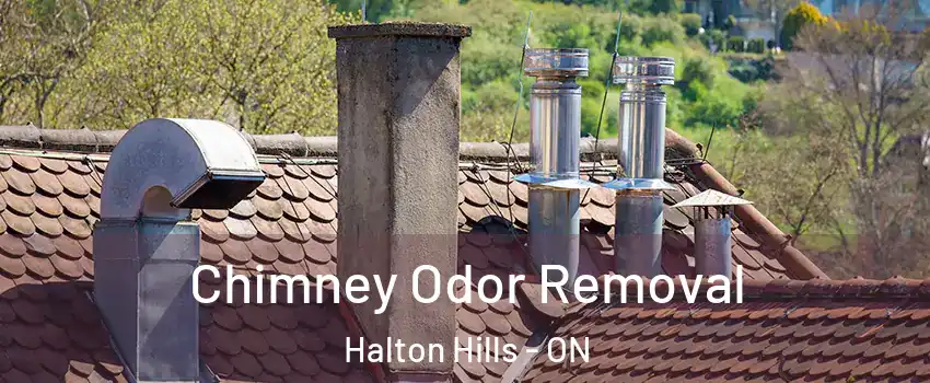  Chimney Odor Removal Halton Hills - ON