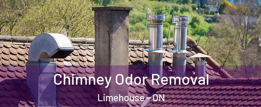  Chimney Odor Removal Limehouse - ON