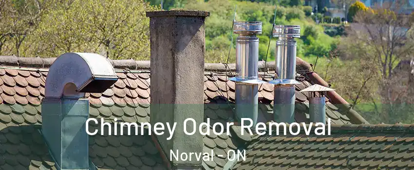  Chimney Odor Removal Norval - ON