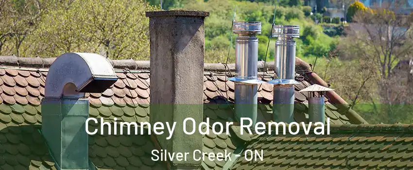  Chimney Odor Removal Silver Creek - ON