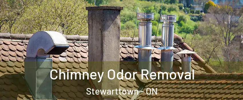  Chimney Odor Removal Stewarttown - ON
