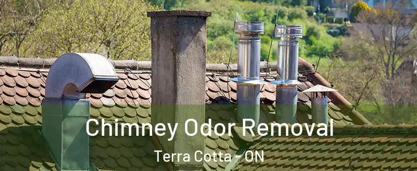  Chimney Odor Removal Terra Cotta - ON
