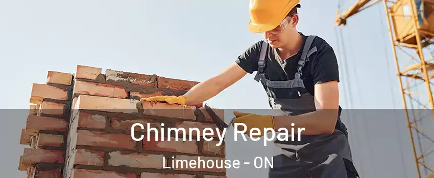  Chimney Repair Limehouse - ON