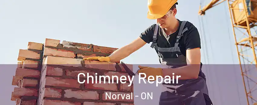  Chimney Repair Norval - ON