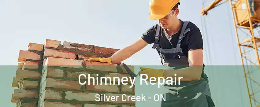  Chimney Repair Silver Creek - ON