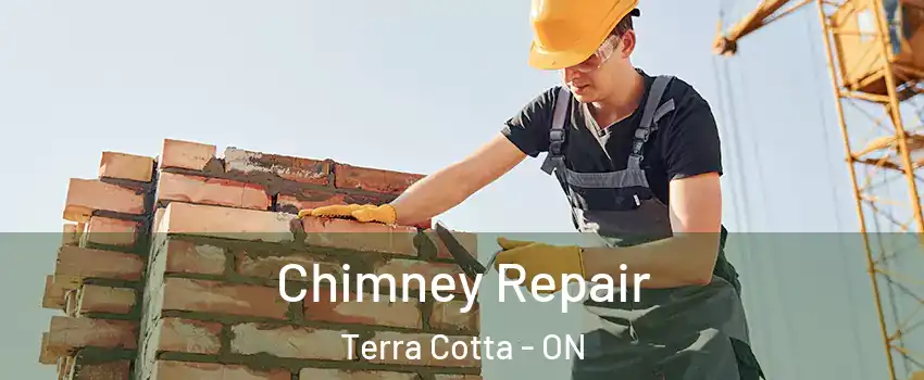  Chimney Repair Terra Cotta - ON