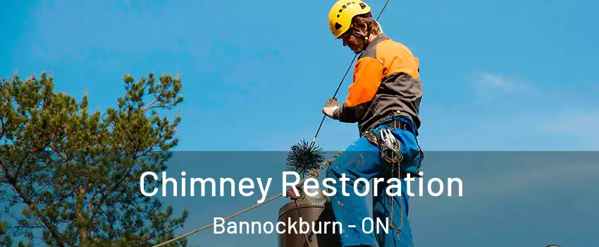  Chimney Restoration Bannockburn - ON