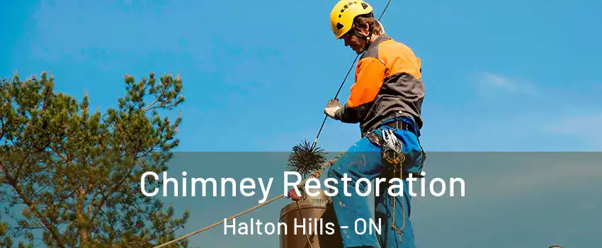  Chimney Restoration Halton Hills - ON