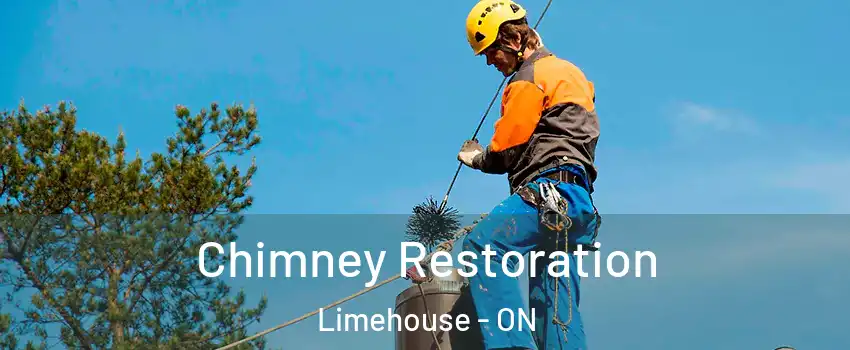  Chimney Restoration Limehouse - ON