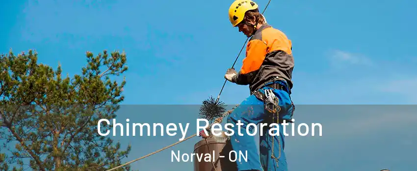  Chimney Restoration Norval - ON