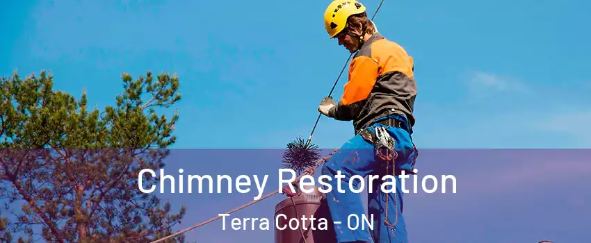  Chimney Restoration Terra Cotta - ON