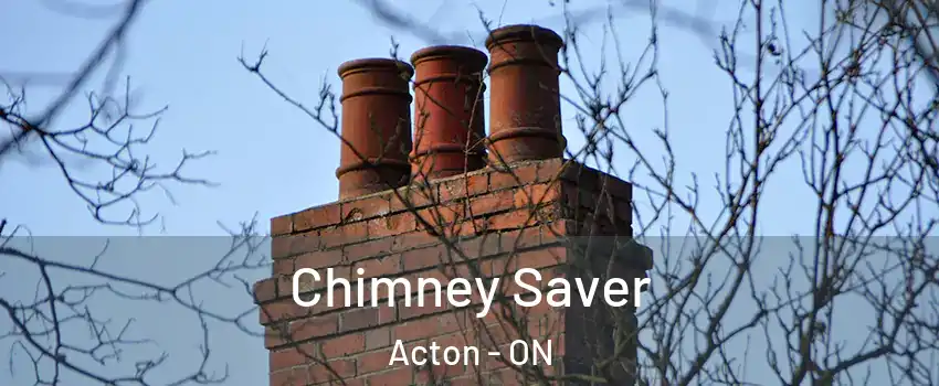 Chimney Saver Acton - ON