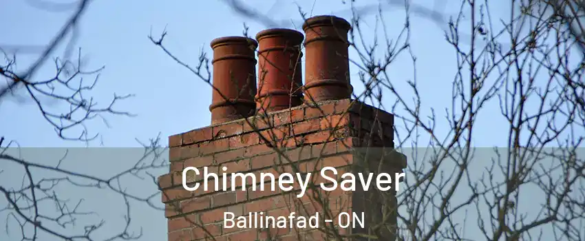  Chimney Saver Ballinafad - ON