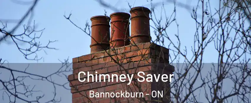  Chimney Saver Bannockburn - ON