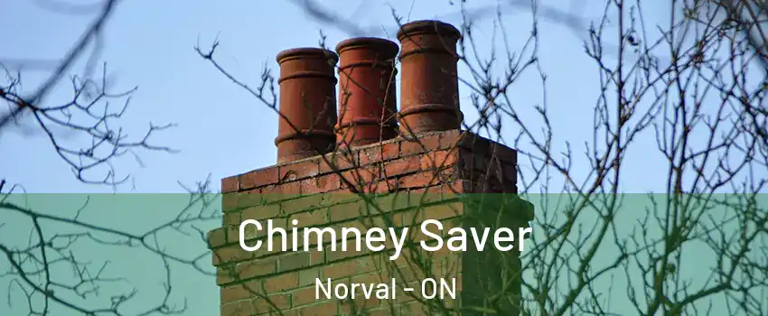  Chimney Saver Norval - ON