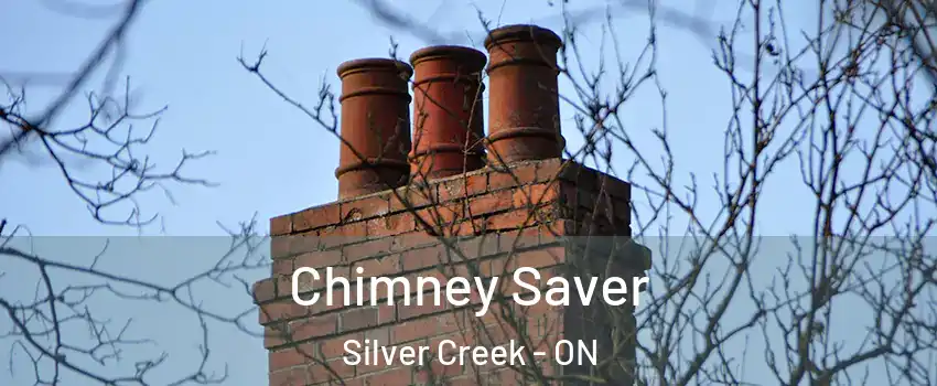  Chimney Saver Silver Creek - ON