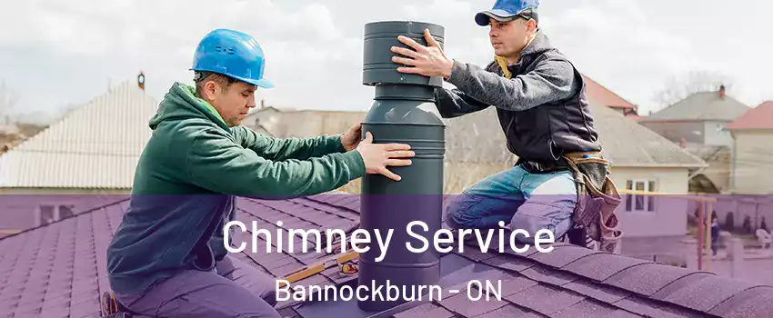  Chimney Service Bannockburn - ON