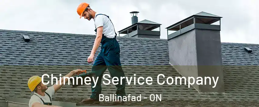  Chimney Service Company Ballinafad - ON