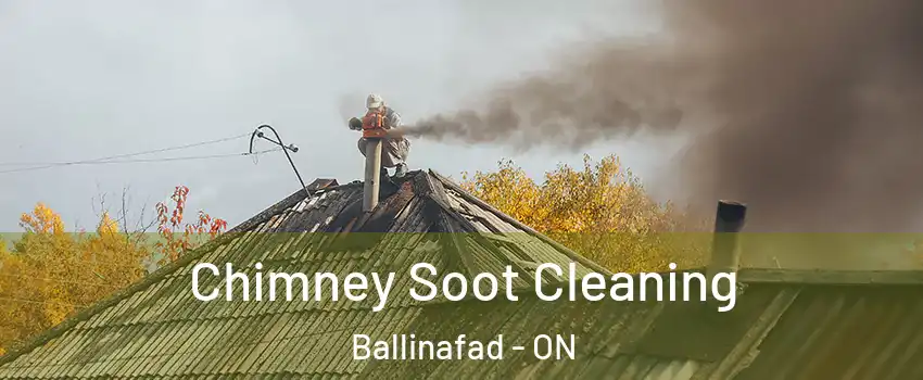  Chimney Soot Cleaning Ballinafad - ON