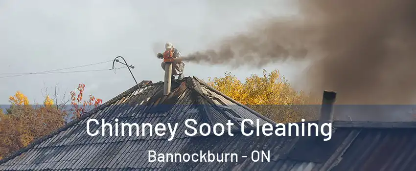 Chimney Soot Cleaning Bannockburn - ON