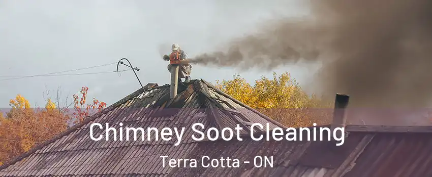  Chimney Soot Cleaning Terra Cotta - ON
