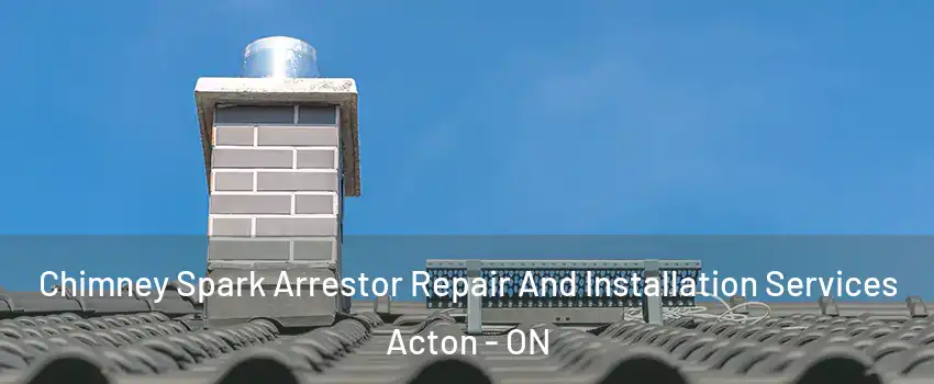  Chimney Spark Arrestor Repair And Installation Services Acton - ON