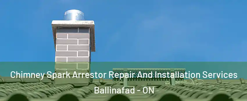  Chimney Spark Arrestor Repair And Installation Services Ballinafad - ON