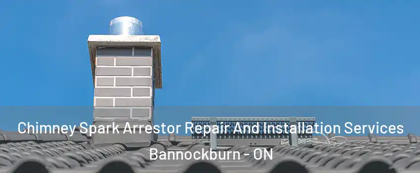  Chimney Spark Arrestor Repair And Installation Services Bannockburn - ON