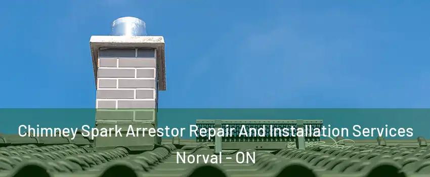  Chimney Spark Arrestor Repair And Installation Services Norval - ON