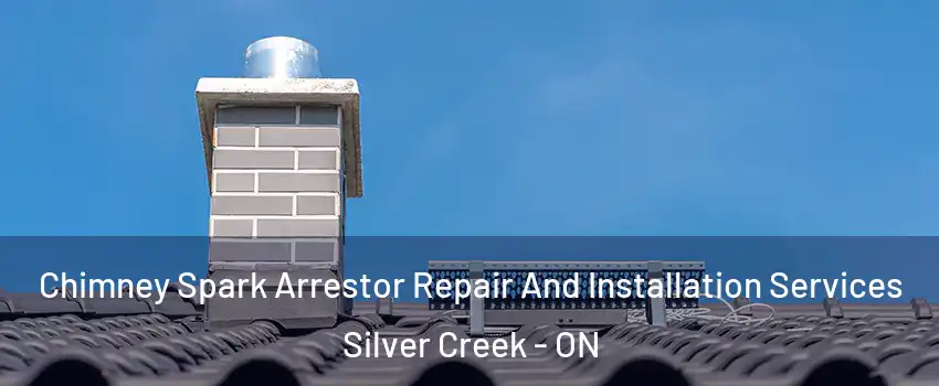  Chimney Spark Arrestor Repair And Installation Services Silver Creek - ON