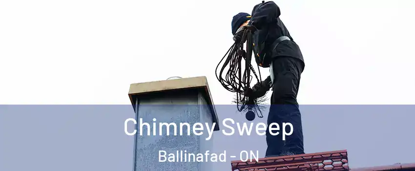  Chimney Sweep Ballinafad - ON