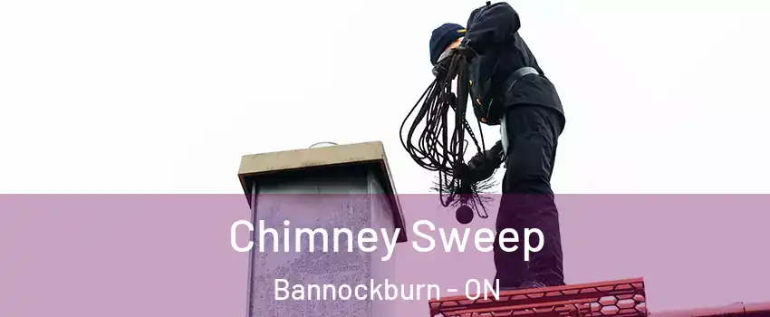  Chimney Sweep Bannockburn - ON