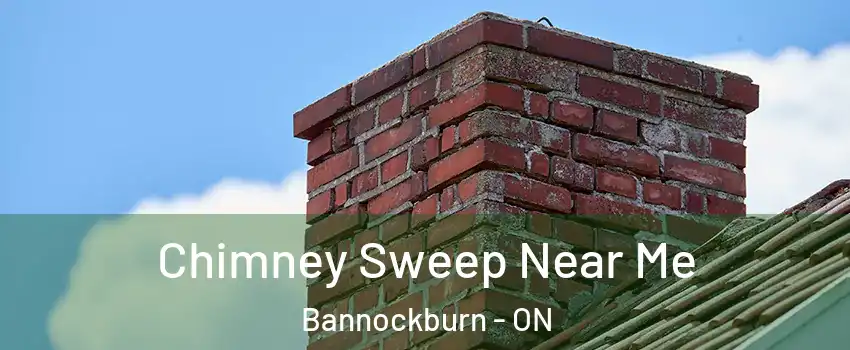  Chimney Sweep Near Me Bannockburn - ON