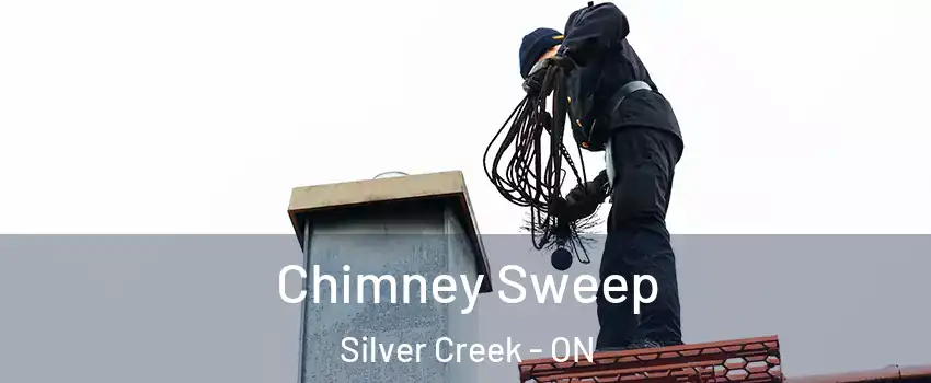  Chimney Sweep Silver Creek - ON