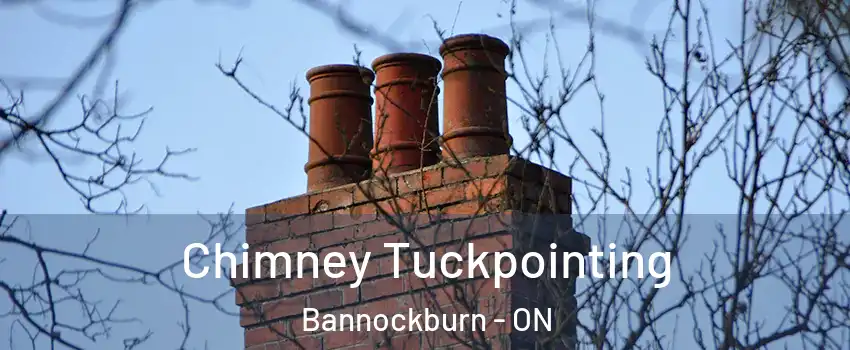  Chimney Tuckpointing Bannockburn - ON
