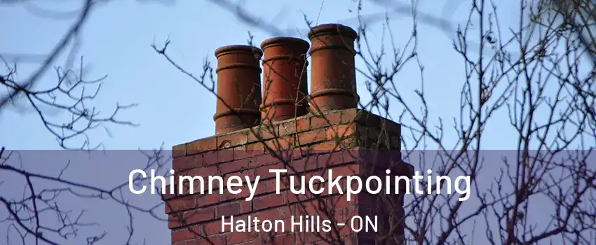  Chimney Tuckpointing Halton Hills - ON