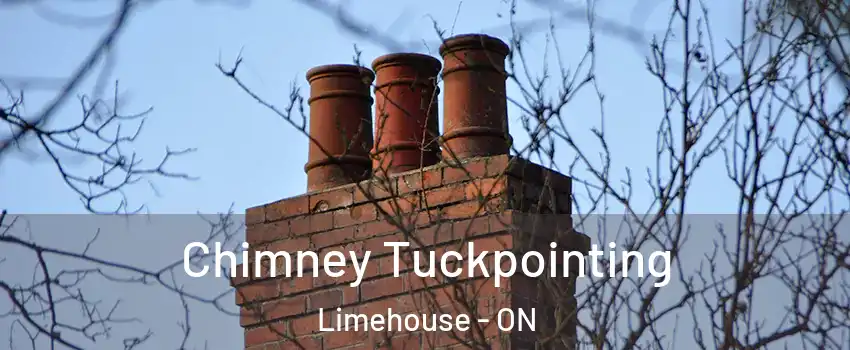  Chimney Tuckpointing Limehouse - ON